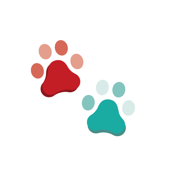 Icoontjes_home-07 Huisdieren toegestaan bij Serviceflat Schouwenhove