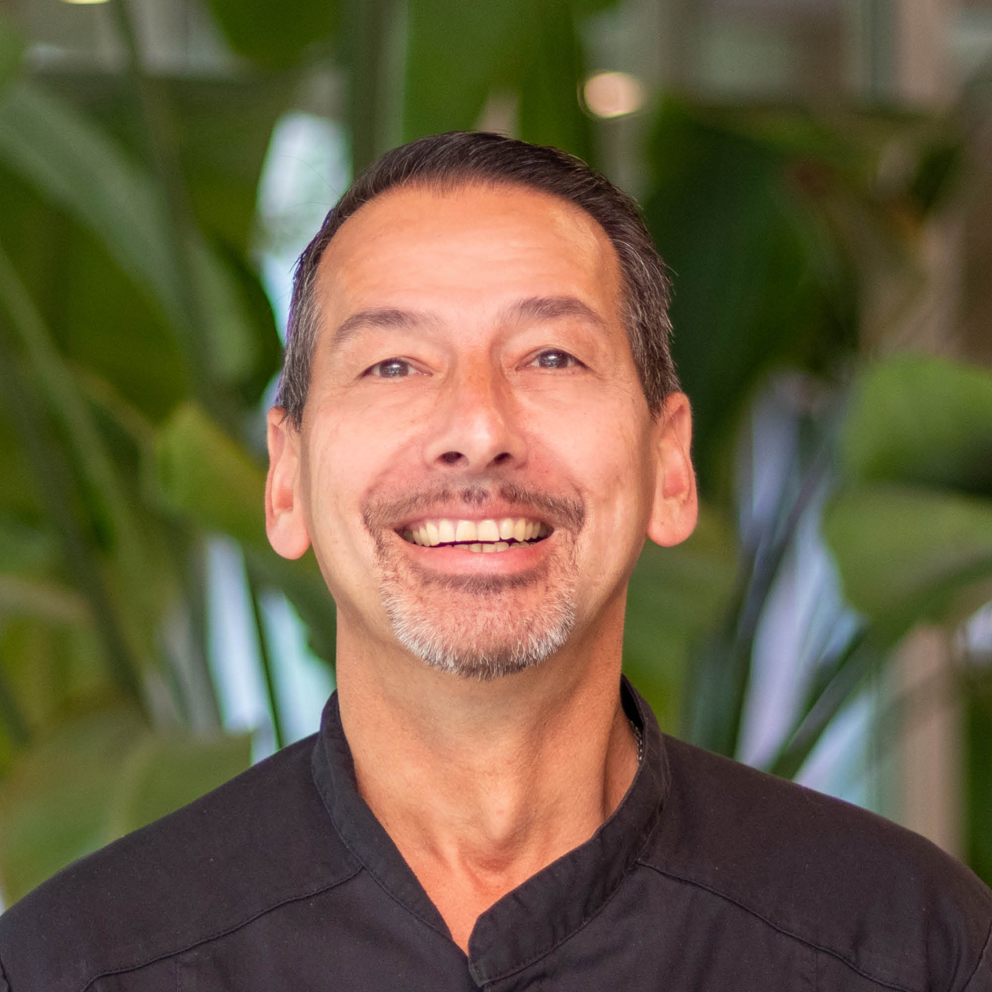 Stanley Stanley Wolf - Serviceflat Schouwenhove